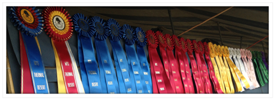 Horse_Show_Thermal2013_2